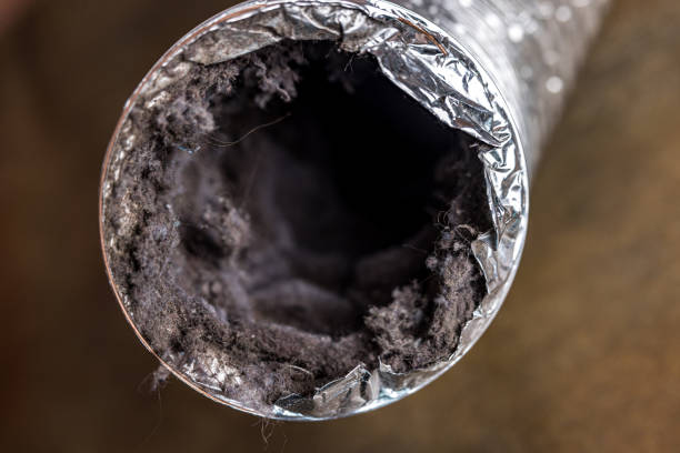 Best Home Air Vent Cleaning  in Burlington, WI