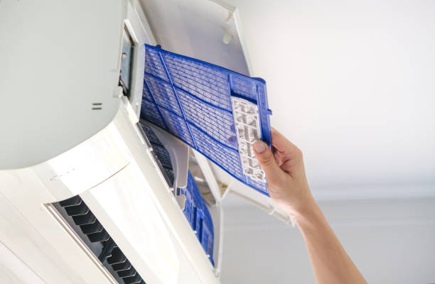 Best Air Duct Sanitizing Services  in Burlington, WI